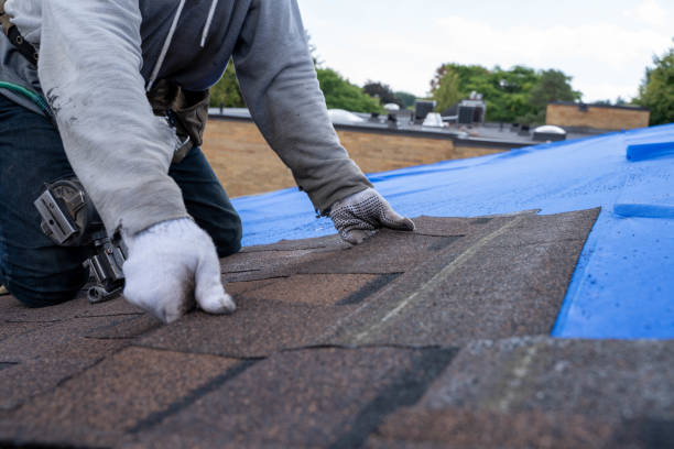 Best Metal Roofing Contractor  in Sand Lake, MI